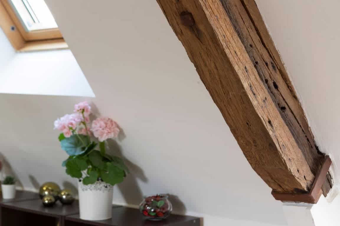Le Ruellan Charmant Duplex Proche Plage 생말로 외부 사진